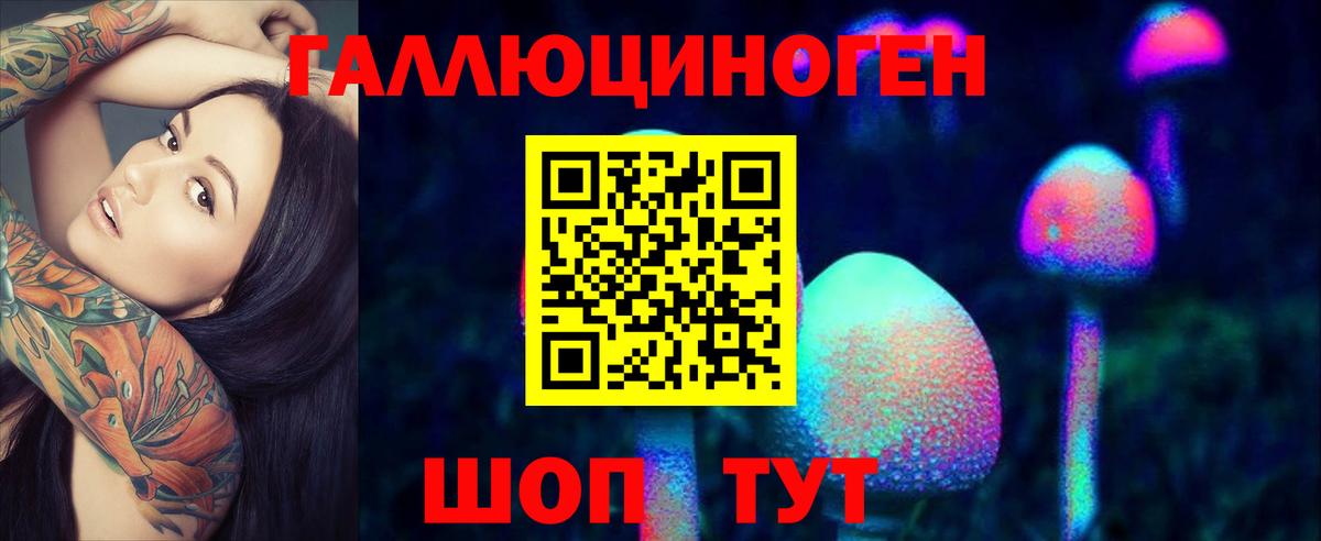 Торжок  Галлюциногенные грибы Psilocybe  Вход с VPN  Галлюциногенные грибы ЛСД 