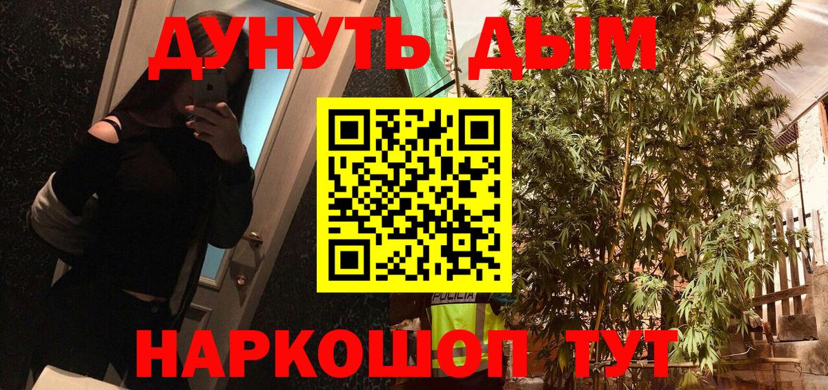 Бошки марихуана семена  Марихуана THC 21%  Шишки марихуана VHQ  Вход с VPN  Торжок 